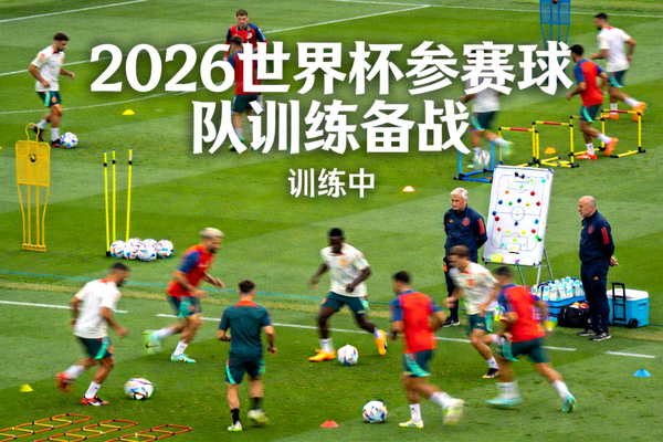 足球赛事数据统计与图表图片